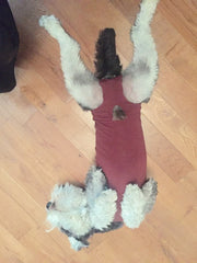 DogEase-Short Leg Suit